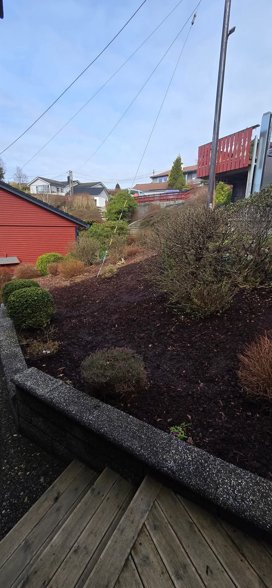 Hage med beplantning og uteområde