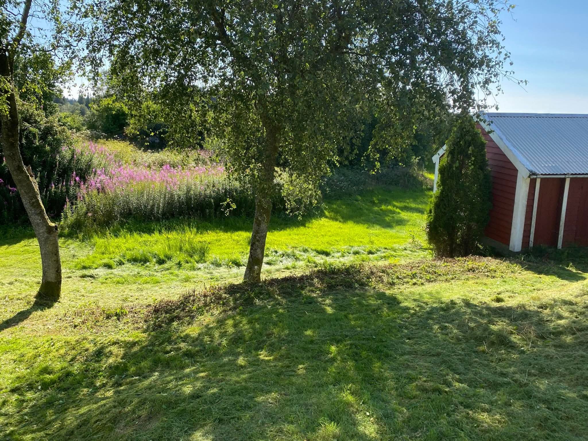 Grønt uteområde med trær og blomster